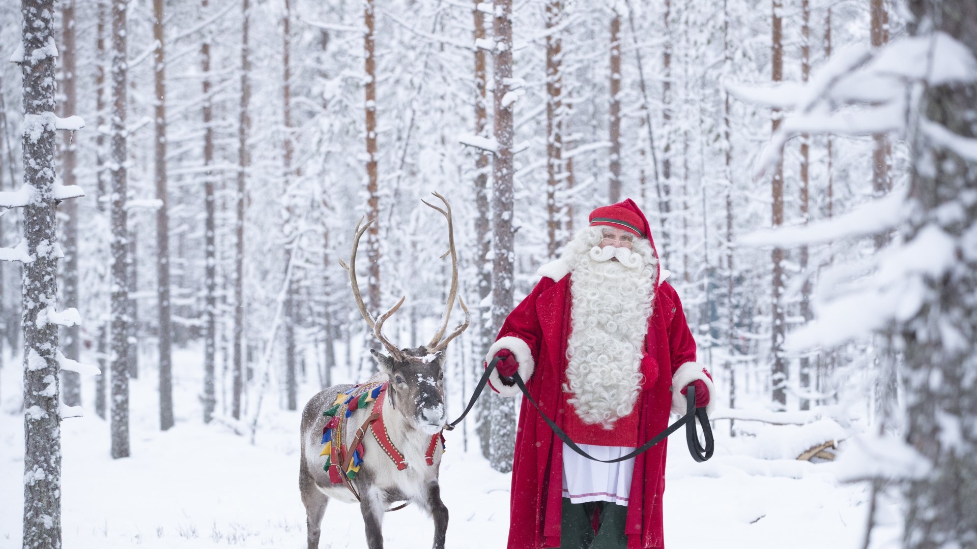 Rovaniemi abseits der Touristenpfade